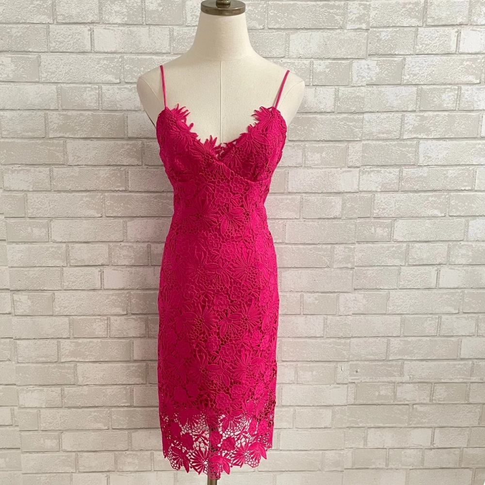 NWT Bardot Taylor Pink Lace Dress Size Medium 6